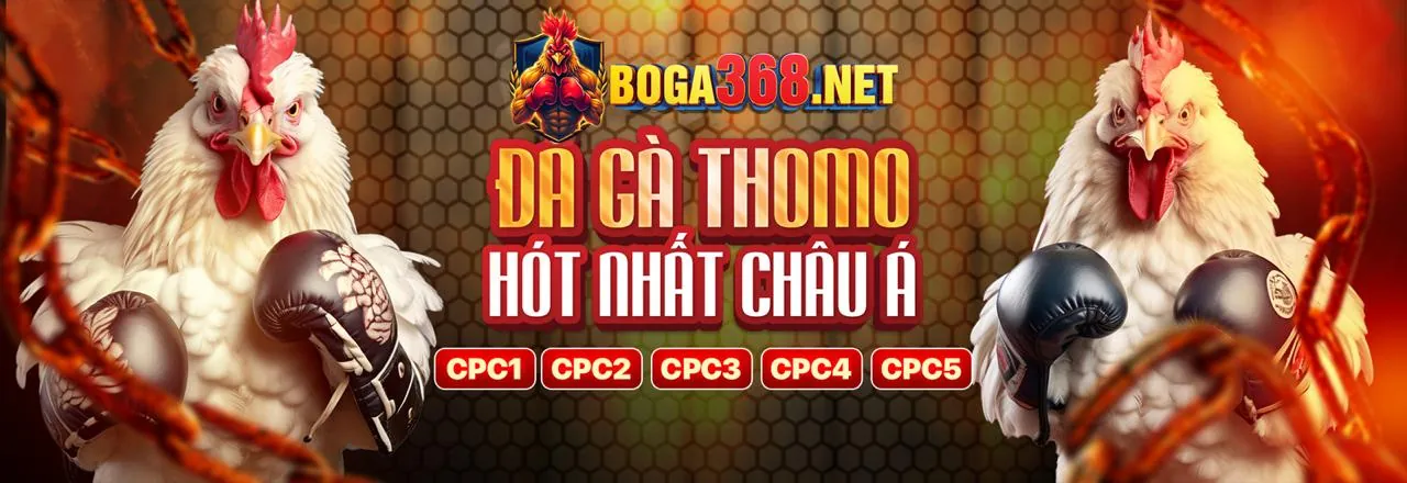Trò chơi nổ hũ và máy đánh bạc