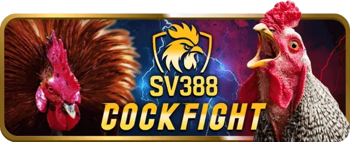 Các phương thức thanh toán an toàn tại 555winnetwork